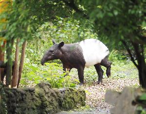 „Entdeckertage Elefanten“ im Zoo Leipzig